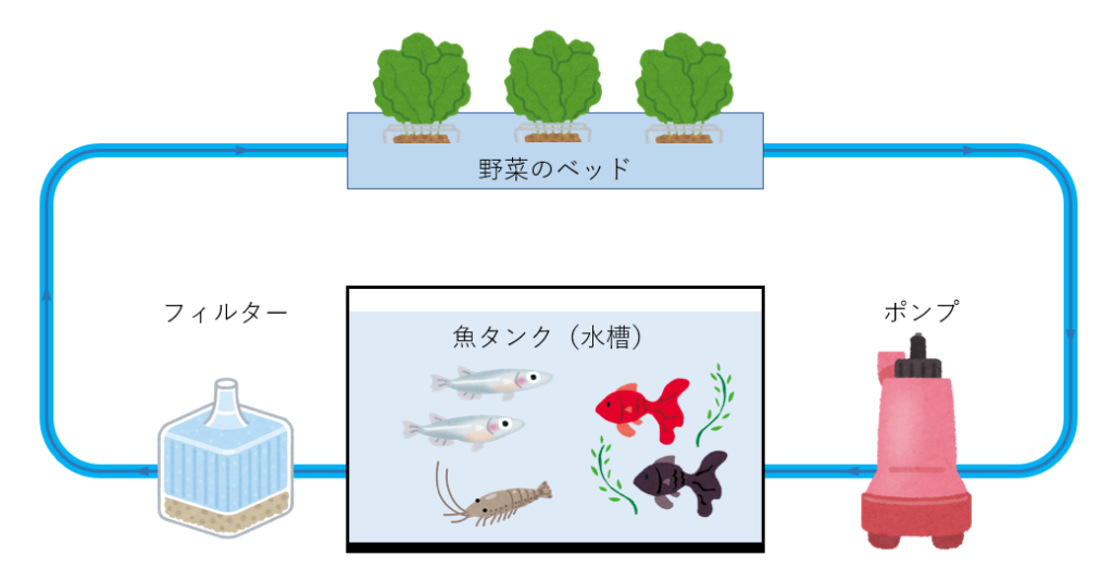 アクアポニックスのイメージ